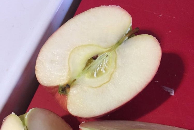 i thought i kept seeing white mold in the core of my apples, so of course, i had to look it up