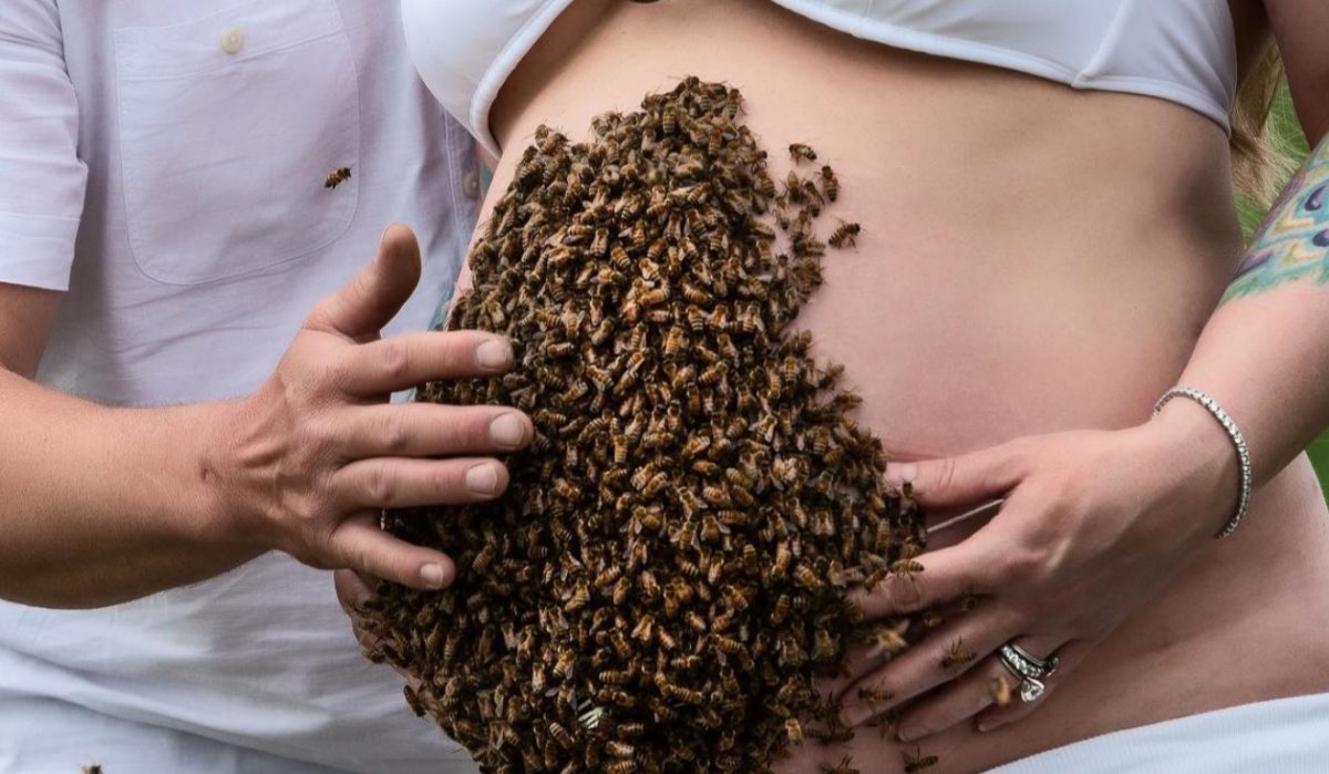 'this photo represents so much more': pregnant mom's pregnancy shoot which features thousands of bees goes viral